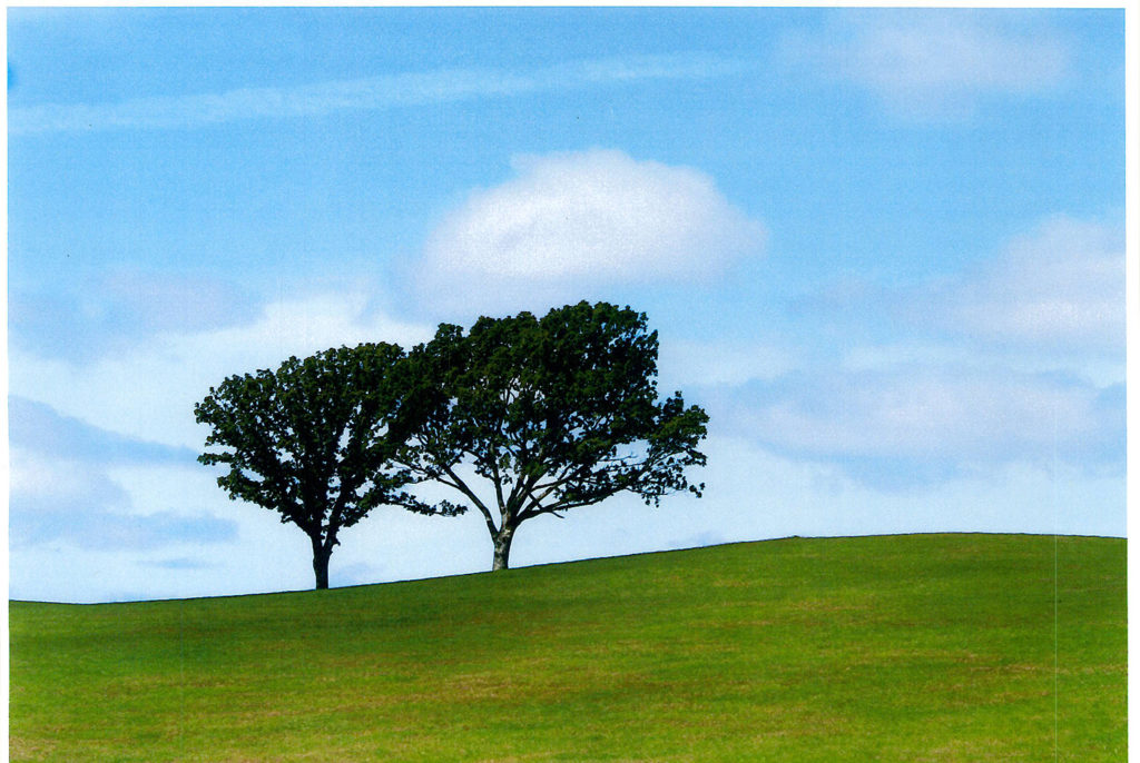 ライトアップイベント